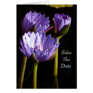 Save The Date Cards