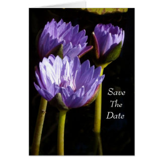 Save The Date Cards