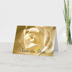 Save the Date Cream Rose Photo Announcement