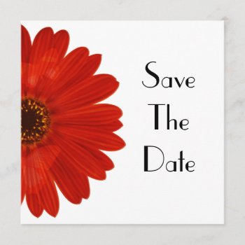 Save The Date Daisy by rdwnggrl at Zazzle
