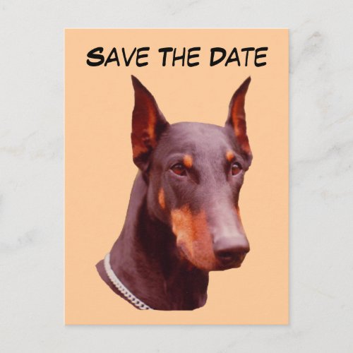Save The Date Doberman Dog Photo Postcard