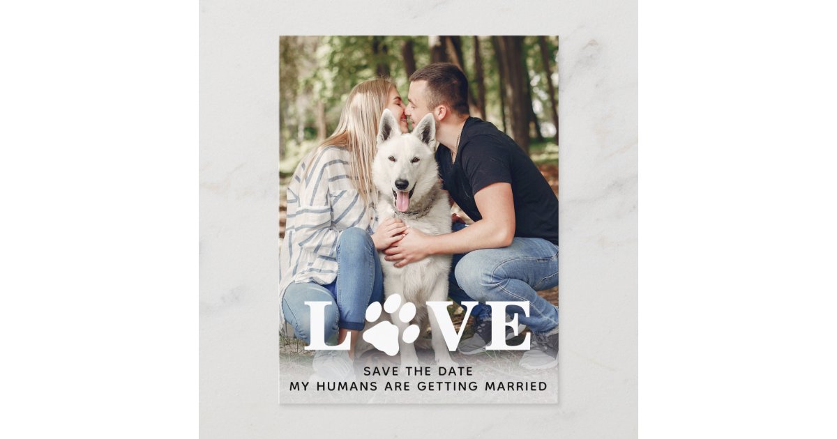 Save The Date Dog Wedding Announcement Postcard | Zazzle.com