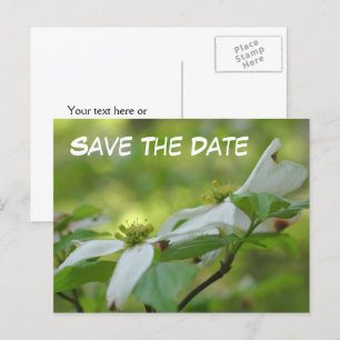 Save The Date Dogwood Flower Photo  Announcement Postcard