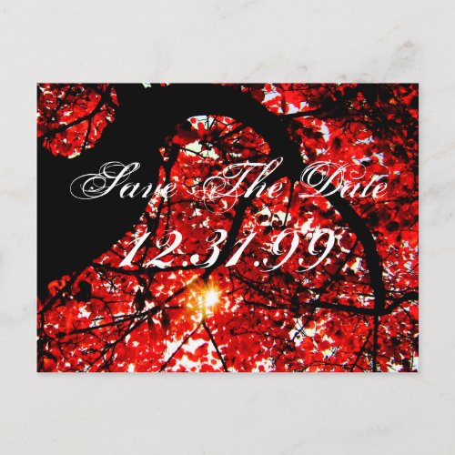 Save The Date _ Fall Leaves Announcement Postcard