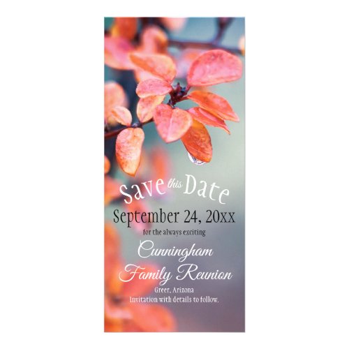 Save The Date Family Reunion Autumn Leaves Bokeh Rack Card