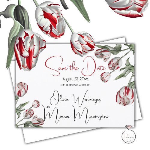 Save the Date  Floral Red  White Rembrandt Tulip Invitation