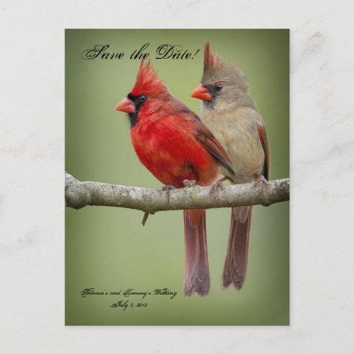 Save the Date for our WeddingCardinal Pair Announcement Postcard