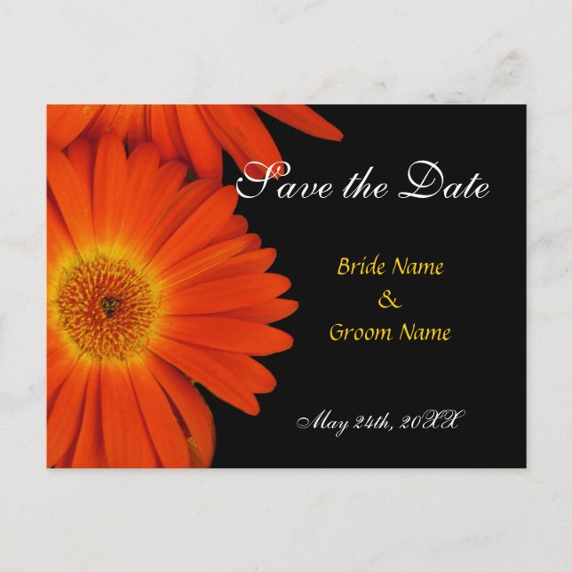 save the date,gerbera daisy announcement postcard (Front)