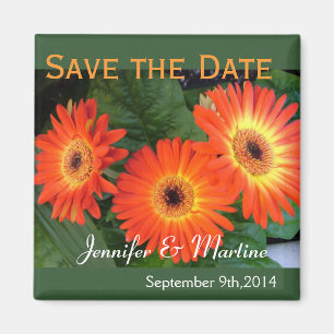 Save the date, gerbera daisy flowers magnet