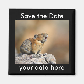 Save the Date Magnet