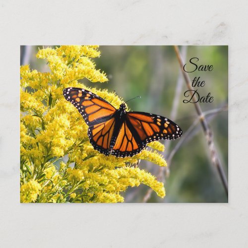 Save the Date Monarch Butterfly Postcard