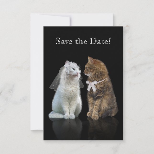 Save the Date of our Purr-fect Day! (Front)