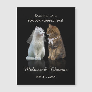 Save the Date of our Purrfect Day