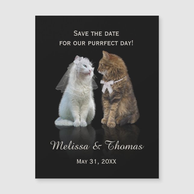 Save the Date of our Purrfect Day (Front)