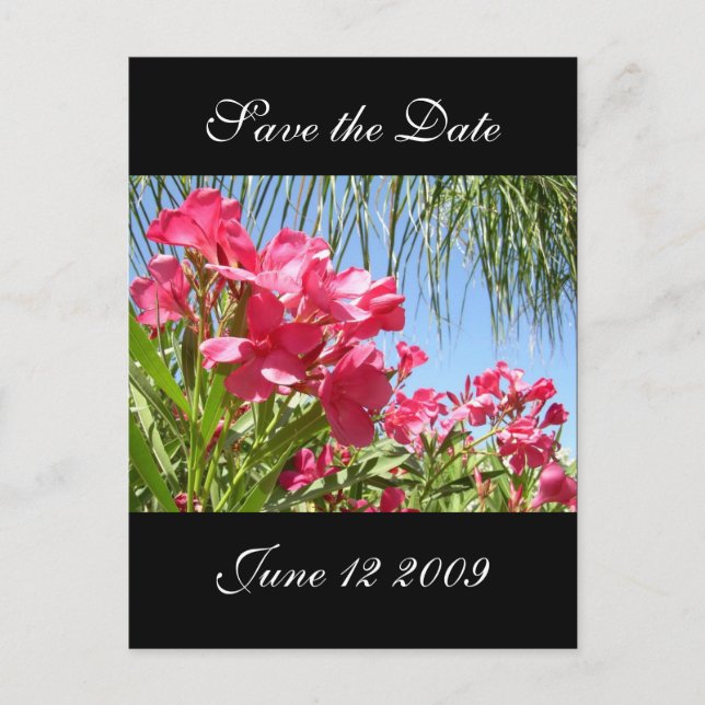 Save the Date Oleander Post Card (Front)