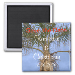 Save the Date Palm Tree Blue Sky Wedding Magnet