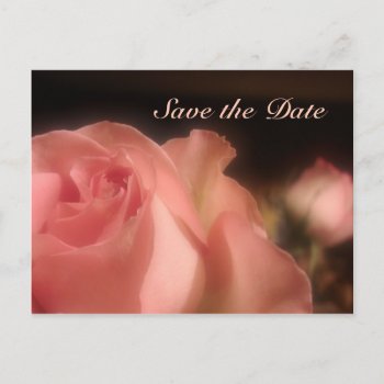 Save The Date - Peach Rose Postcard by AJsGraphics at Zazzle