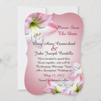 Save The Date Pink Amaryllis by Irisangel at Zazzle