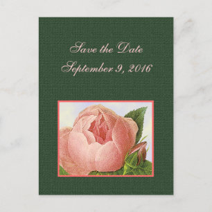 Save the Date Pink Botanical Roses Postcard