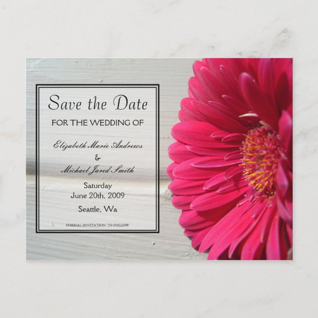 Save the Date Pink Daisy Postcard (Front)