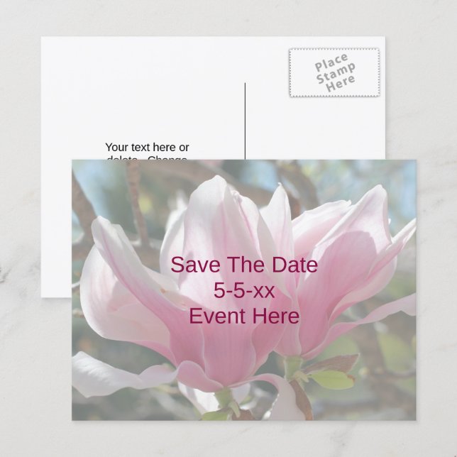 Save The Date Pink Magnolia Flower  Announcement Postcard (Front/Back)