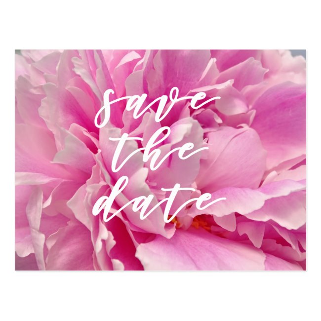 Save the Date! Pink Peony Photo