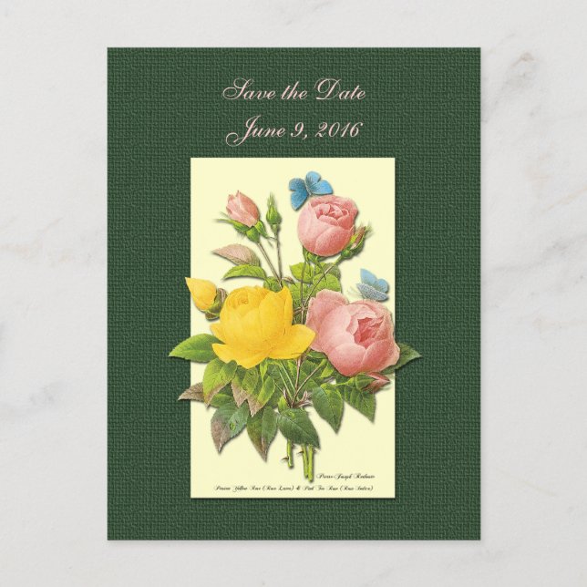 Save the Date Pink Yellow Roses Postcard (Front)