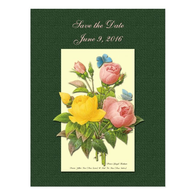 Save the Date Pink Yellow Roses Postcard