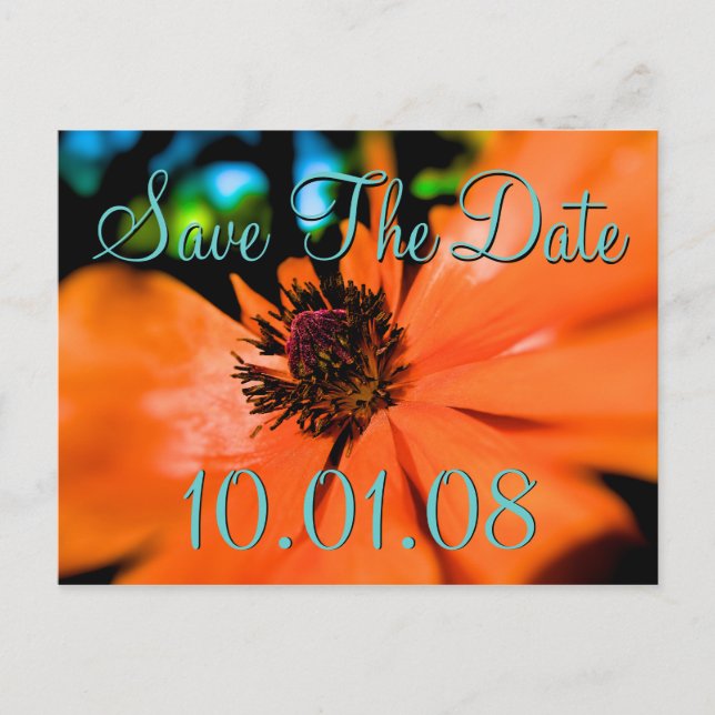 Save the Date - Poppies Announcement Postcard (Front)