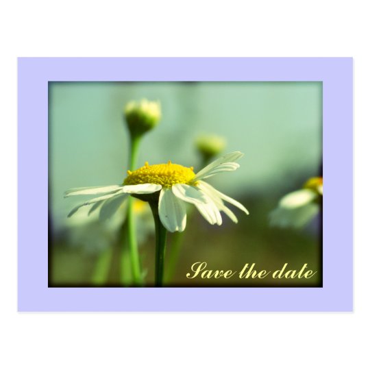 Save the date postcard