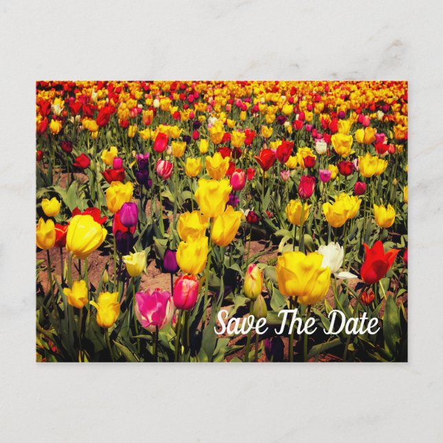 Save The Date Postcard (Front)