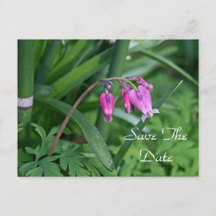 Save the Date Postcard