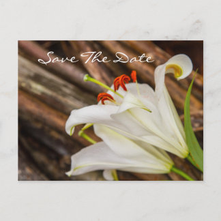 Save The Date Postcard