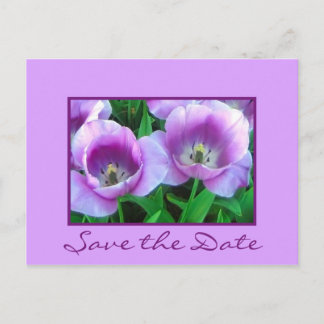 Save the Date - Postcard