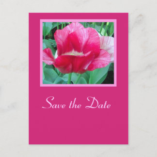 Save the Date - Postcard