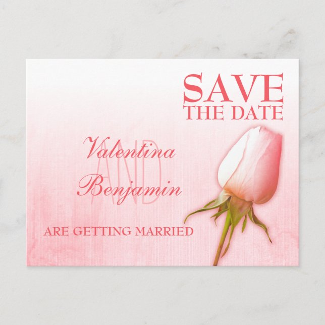Save the Date Postcard Single Pink Rose Bud (Front)