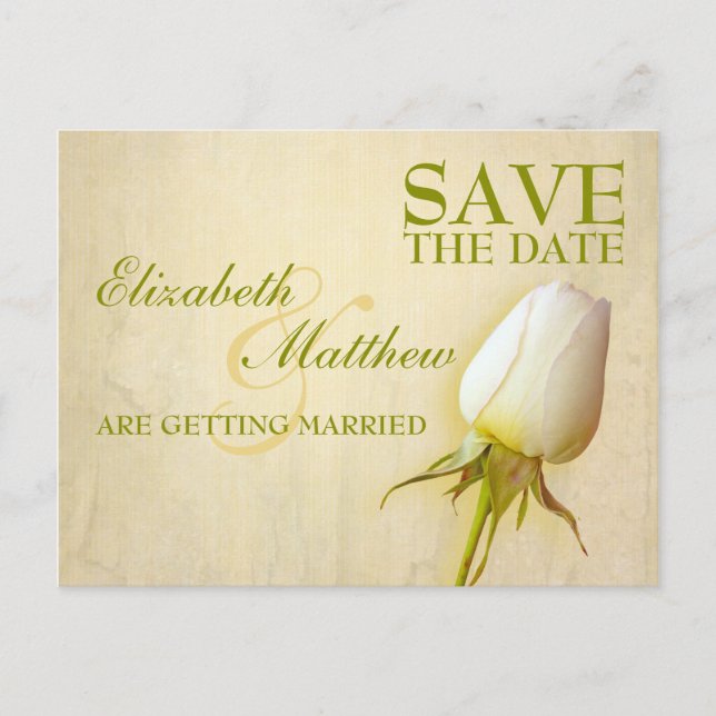 Save the Date Postcard Single White Rose Bud (Front)