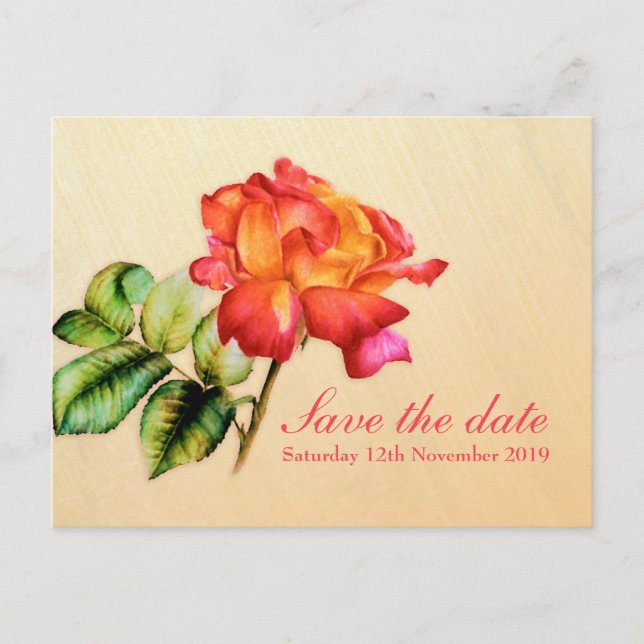 Save the Date Postcard tea rose art (Front)