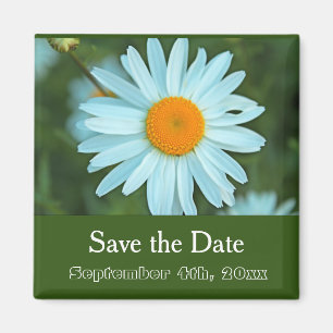save the date, pure white daisy flower green magnet