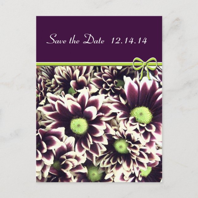 Save The Date Purple and Lime Daisies Announcement Postcard (Front)