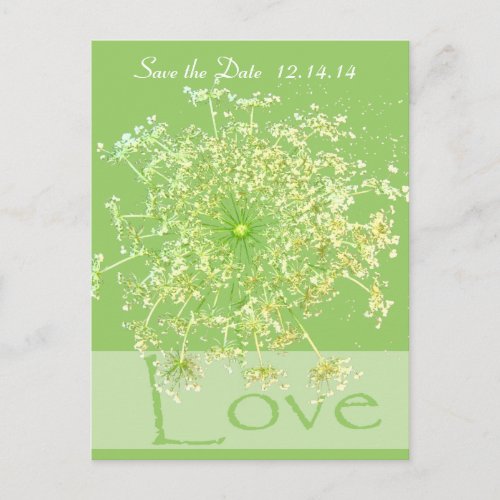 Save The Date  Queen Annes Lace Announcement Postcard