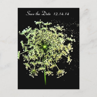 Save The Date  Queen Anne's Lace Announcement Postcard