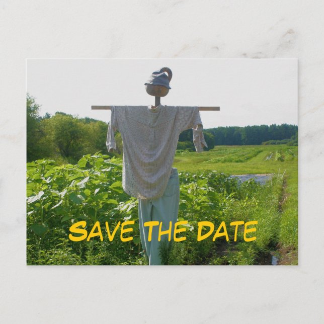 Save The Date Scarecrow Photography Postcard (Front)