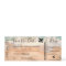 Save the date script tropical plane boarding pass