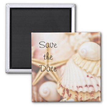 Save The Date Seashell Magnet by Meg_Stewart at Zazzle