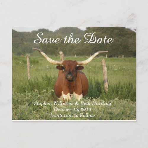 Save the Date Texas Longhorn Announcement Postcard