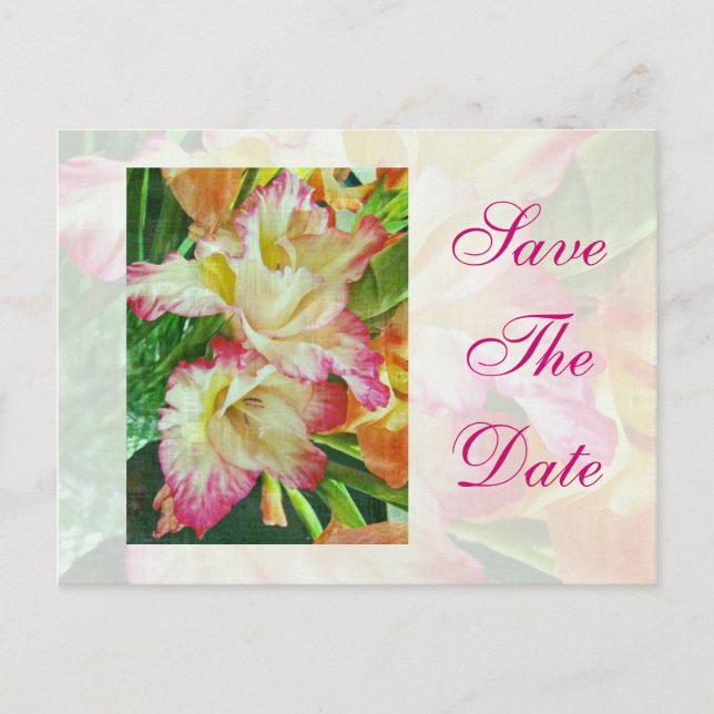 Save The Date Textured Gladiola Announcement Postcard (Front)