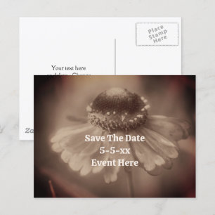 Save The Date Vintage Sepia Zinnia Flower Announcement Postcard