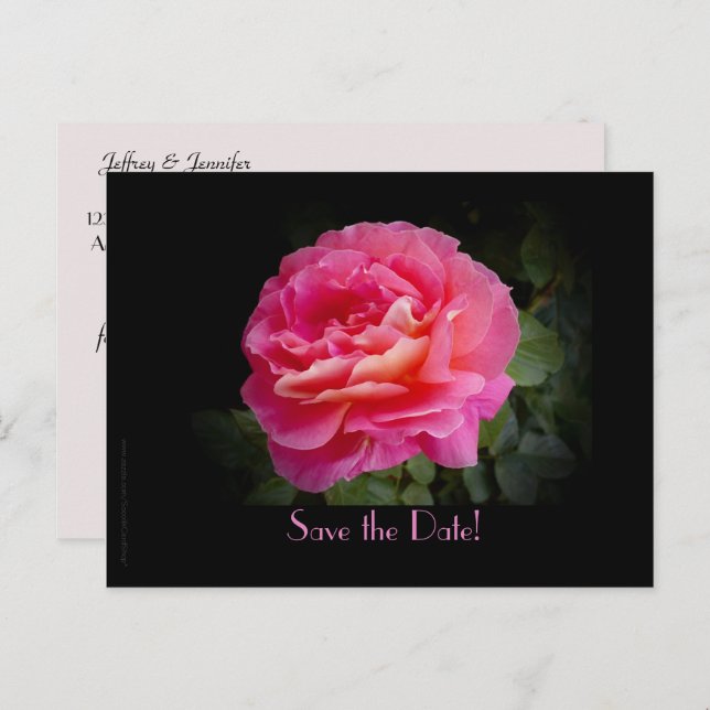 Save the Date Vow Renewal Ceremony Pink Rose Announcement Postcard (Front/Back)