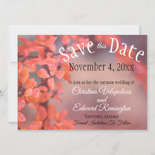 Save The Date Wedding Autumn Leaves Framing Bokeh Announcement